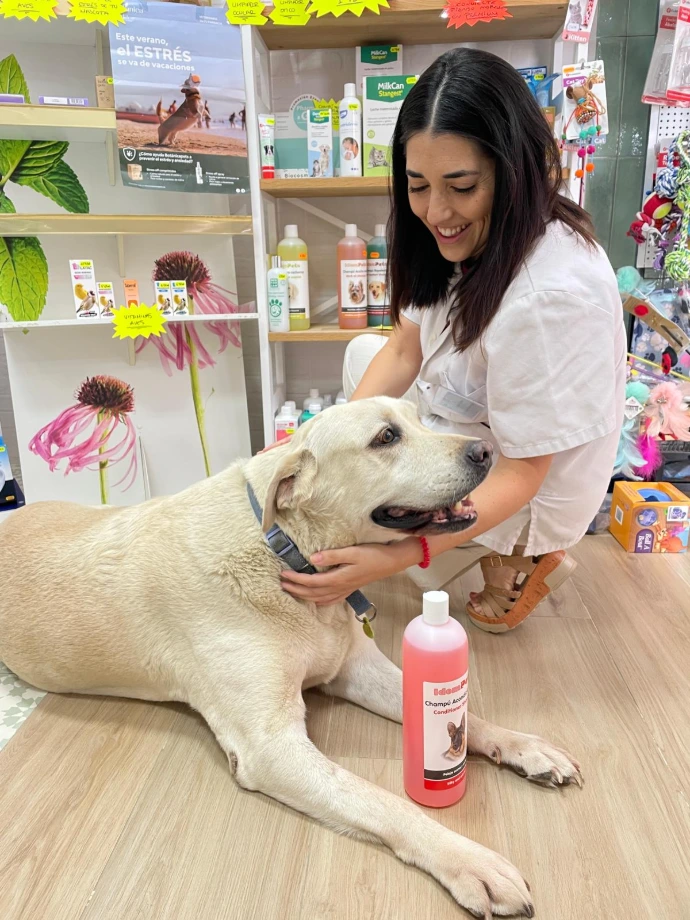 Asesoramiento Veterinaria Sevilla